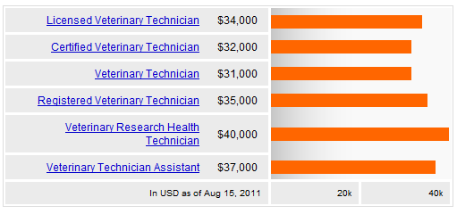 Vet Tech Salary Veterinary Technician